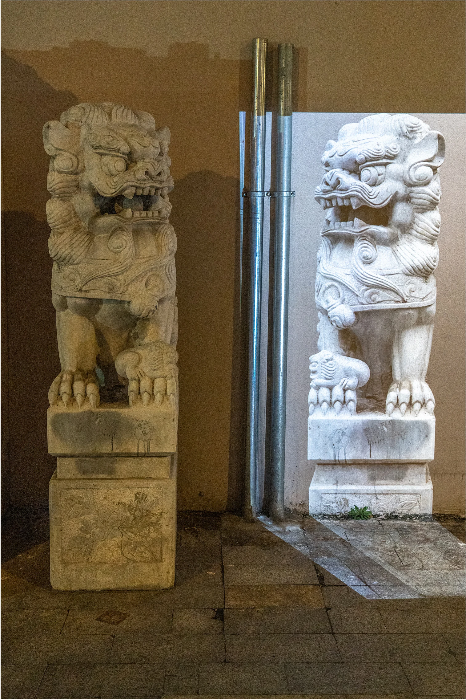 A female stone lion beside a projected image of another female lion.