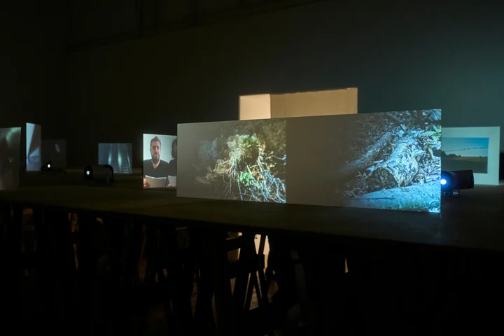 Two projected forest images displayed on low panels within an exhibition.