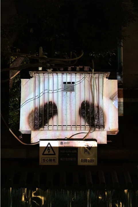 A bodily image is projected across an electrical transformer and its warning signs.